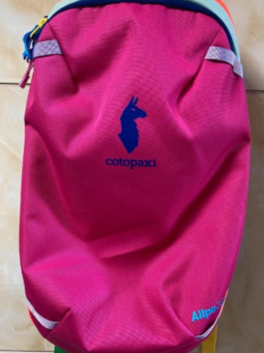 Cotopaxi allpa 20L travel backpack bag